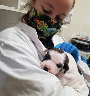 Employée de chez Proanima caressant une bébé chien