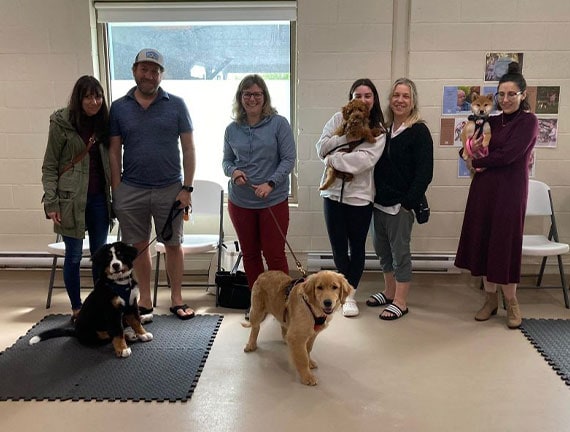 Dog training classes at Proanima