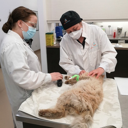 un enfant et un chien couchés sur un lit regardant la caméra