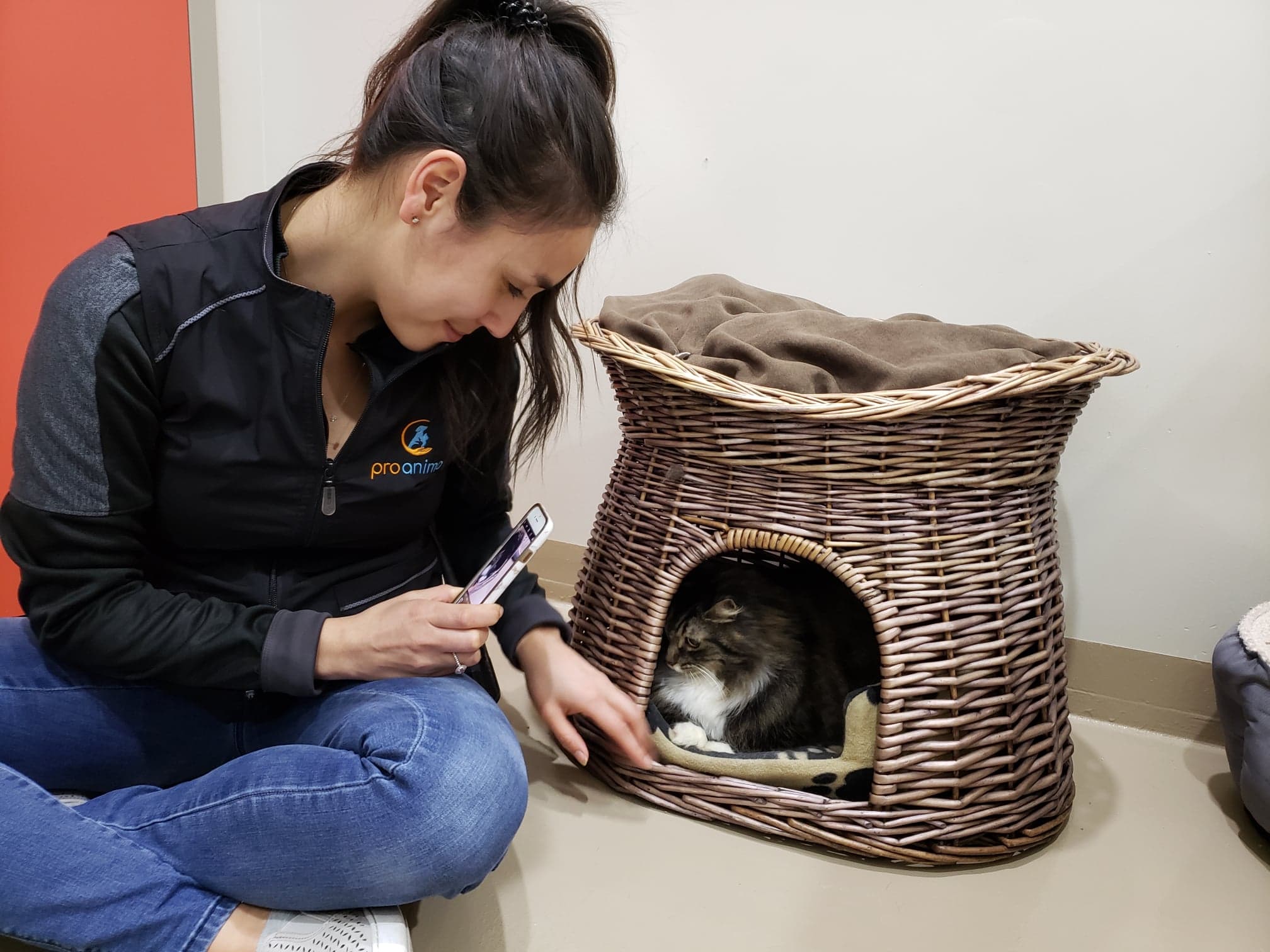 Femme assise par terre qui photographie un chat - Préposée service client Proanima