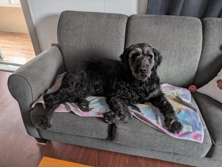 Max