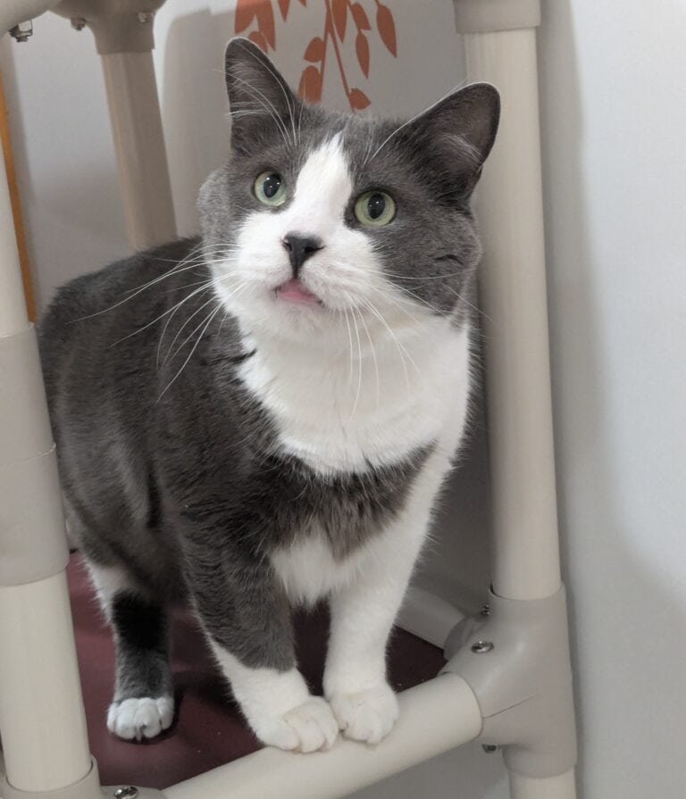 Tom
